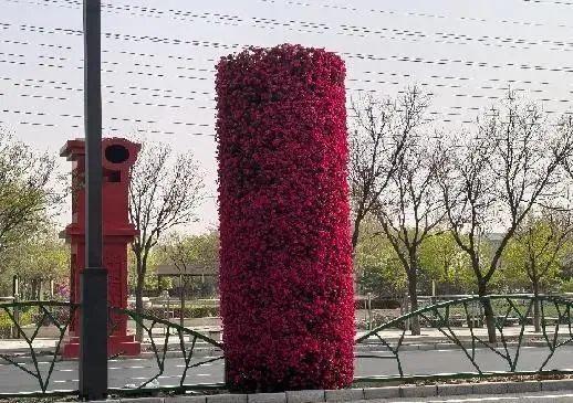 升级！新增智能信号灯多堵点消失！尊龙凯时app顺义这4道路成功(图7)